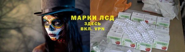 PSILOCYBIN Белая Холуница