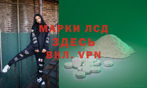 PSILOCYBIN Белая Холуница