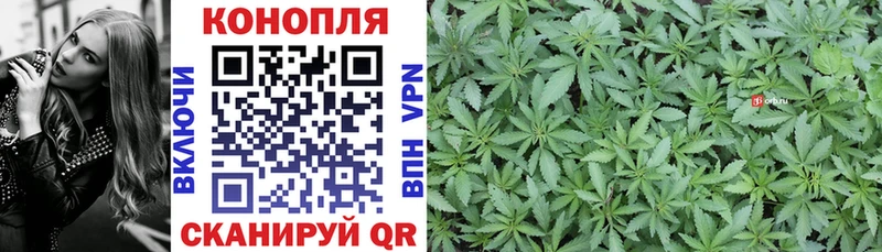 Шишки марихуана Bruce Banner  где найти наркотики  Инза 